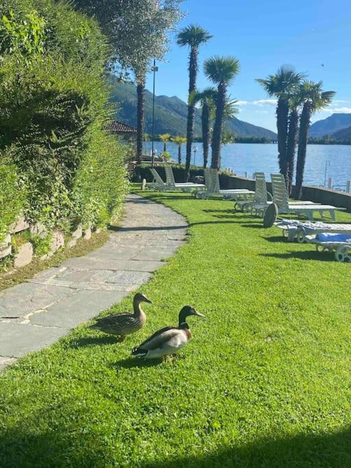 Holiday On The Lake Lugano 2-16 比索内 外观 照片